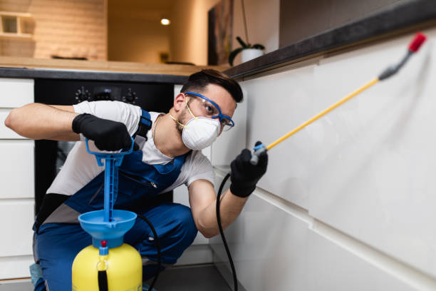 Best Flea Control Services  in Rocky Point, WA