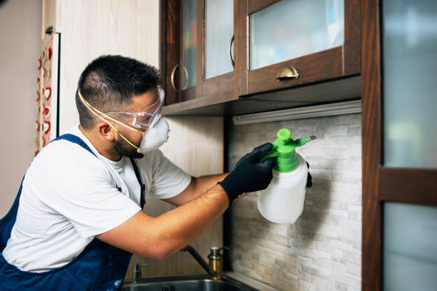 Best Termite Control Services  in Rocky Point, WA