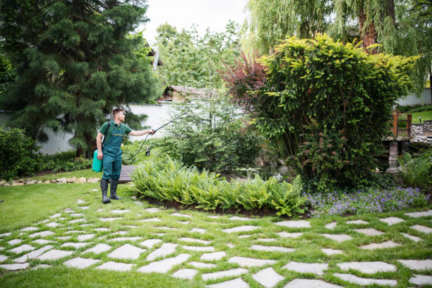Best Local Pest Control Services  in Rocky Point, WA