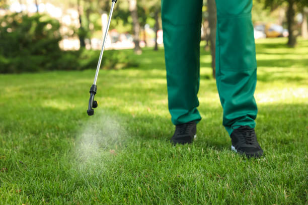  Rocky Point, WA Pest Control Pros