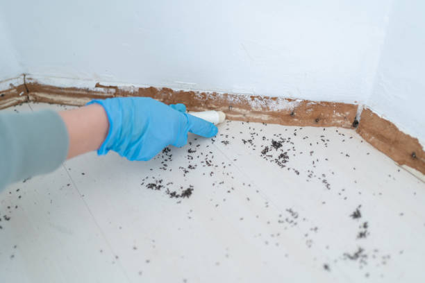 Best Cockroach Control Services  in Rocky Point, WA