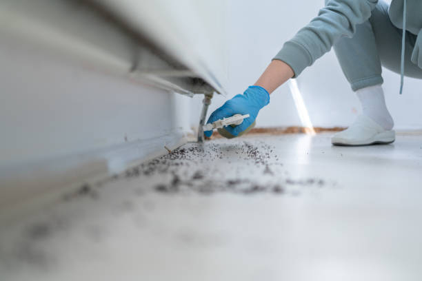Best Residential Pest Control  in Rocky Point, WA
