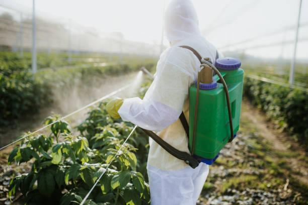 Rocky Point, WA Pest Control Company